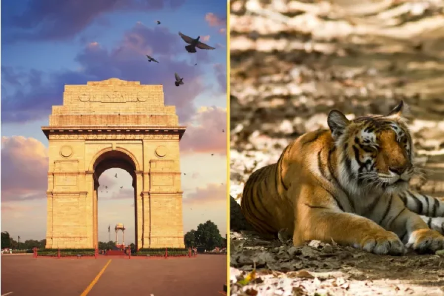 Delhi Nainital Jim Corbett 4N/5D