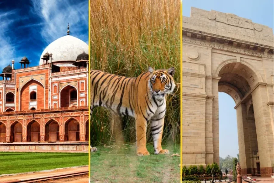 Golden Triangle Tour From Delhi Via Ranthambore