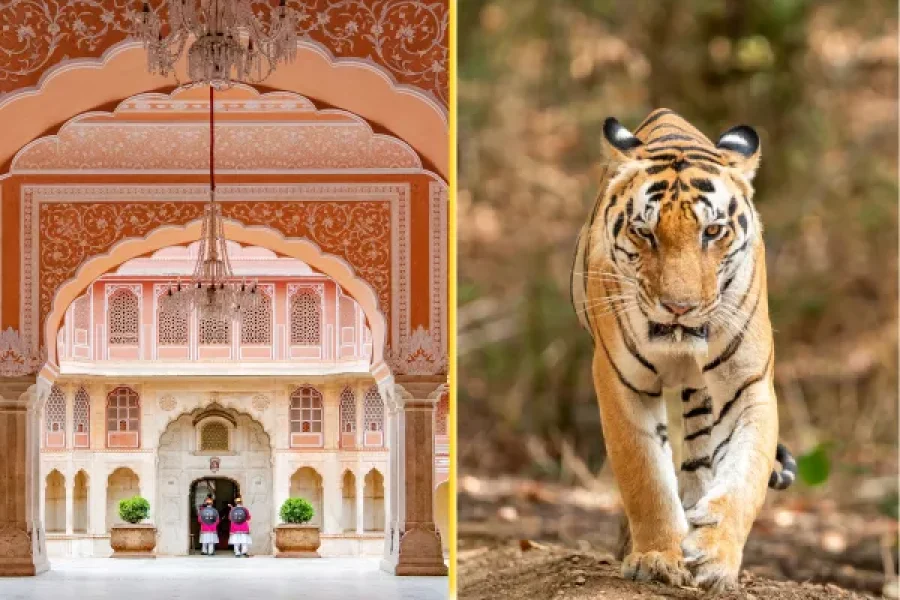 Jaipur Sawai Madhopur Tour 2N/3D