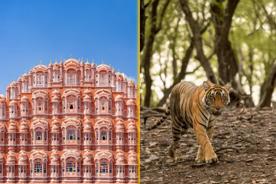 Jaipur Ranthambore