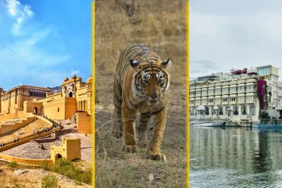 Jaipur Ranthmbore 10Days