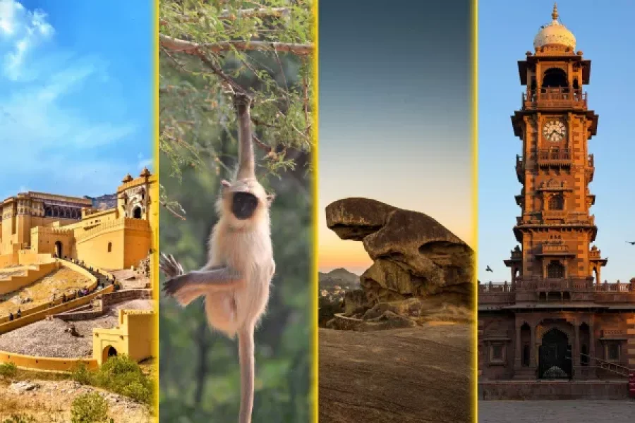 Jaipur Ranthmbore 12Days