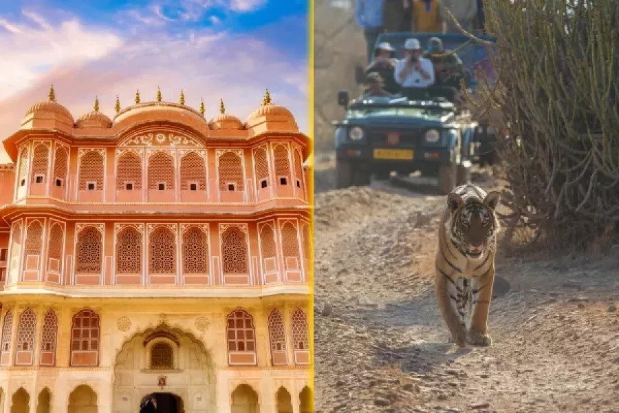 Jaipur Ranthmbore 5Days