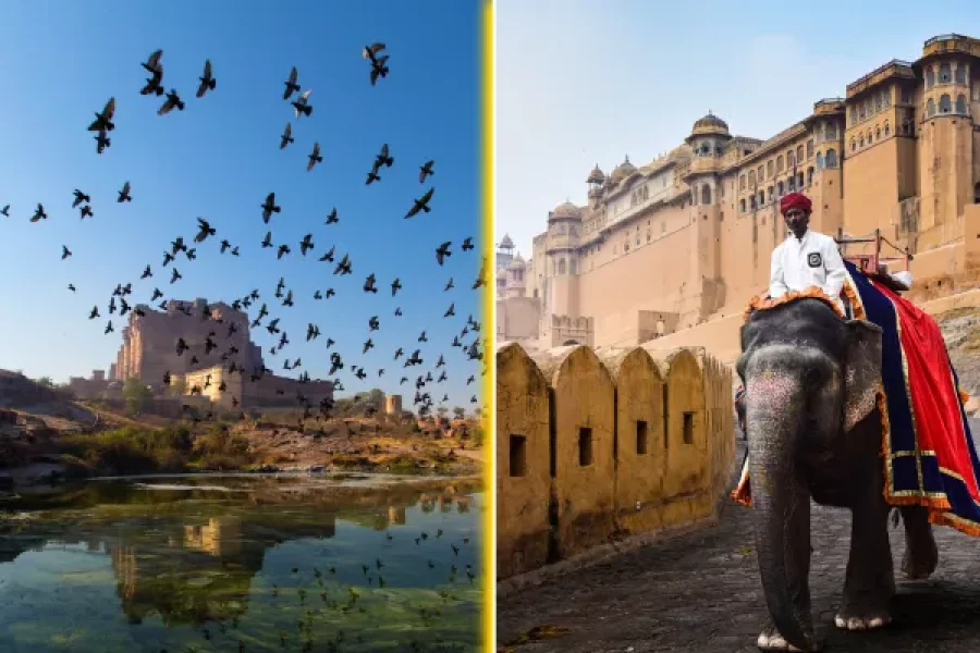 Jodhpur Jaipur 14 Days